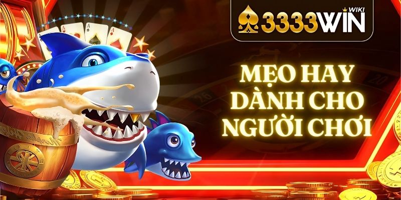 Mẹo hay dành cho người chơi